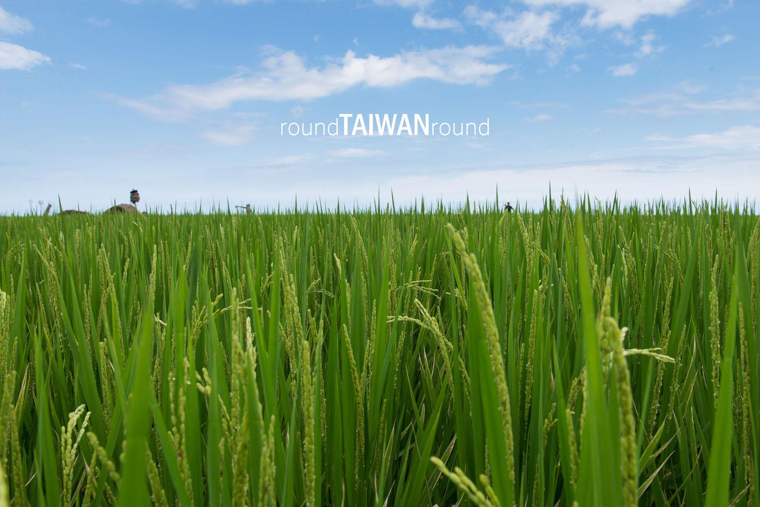 Xinshe_Coastal_Rice_Terrances_________-026.jpg