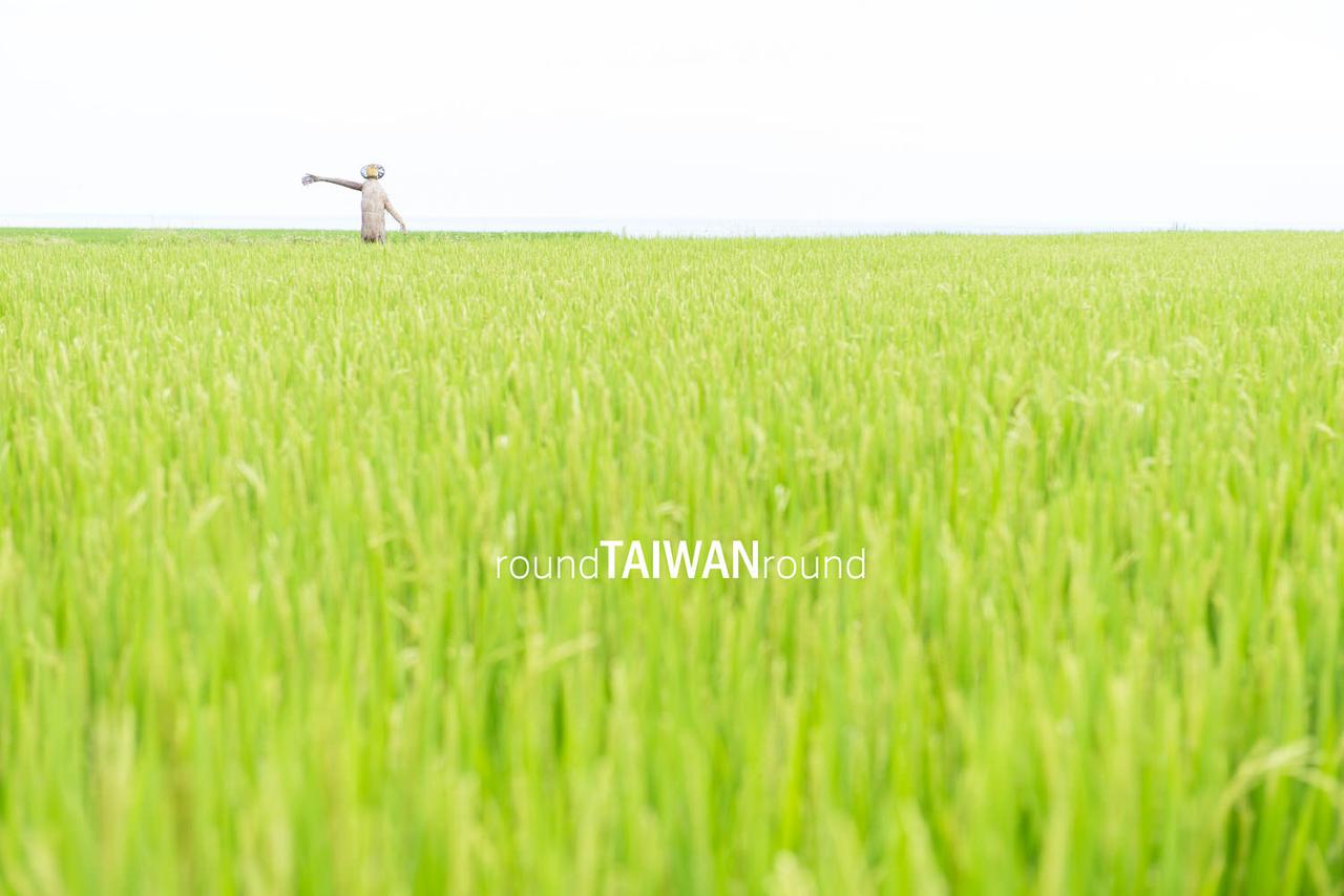 Xinshe_Coastal_Rice_Terrances_________-004.jpg