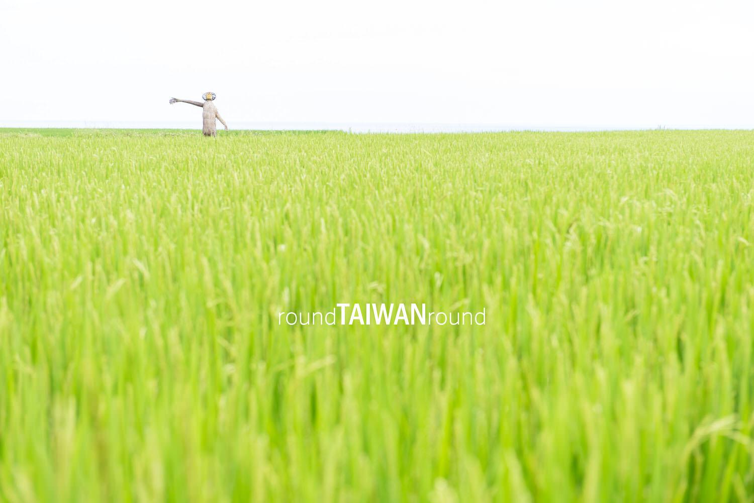 Xinshe_Coastal_Rice_Terrances_________-004.jpg