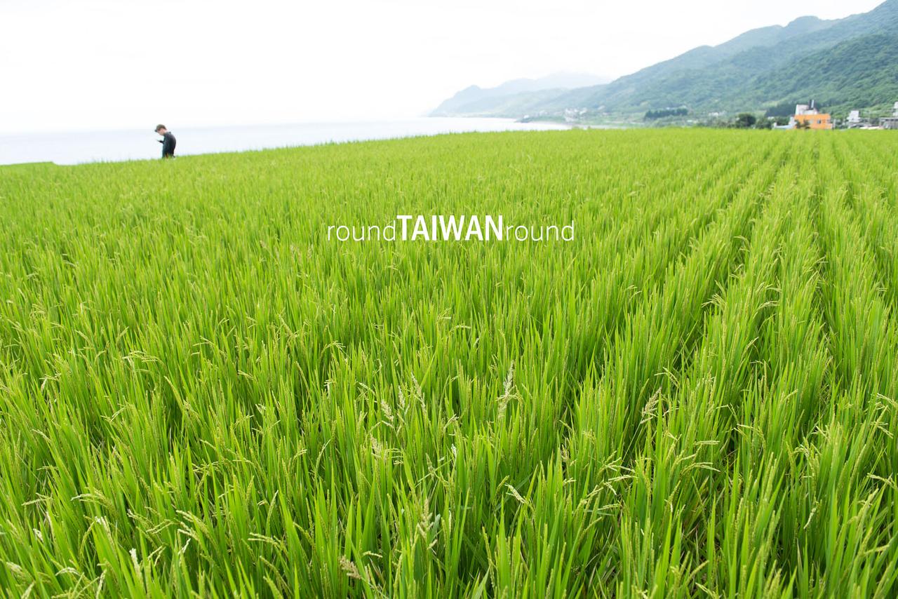 Xinshe_Coastal_Rice_Terrances_________-012.jpg