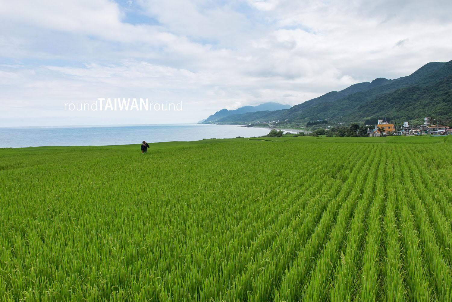 Xinshe_Coastal_Rice_Terrances_________-010.jpg