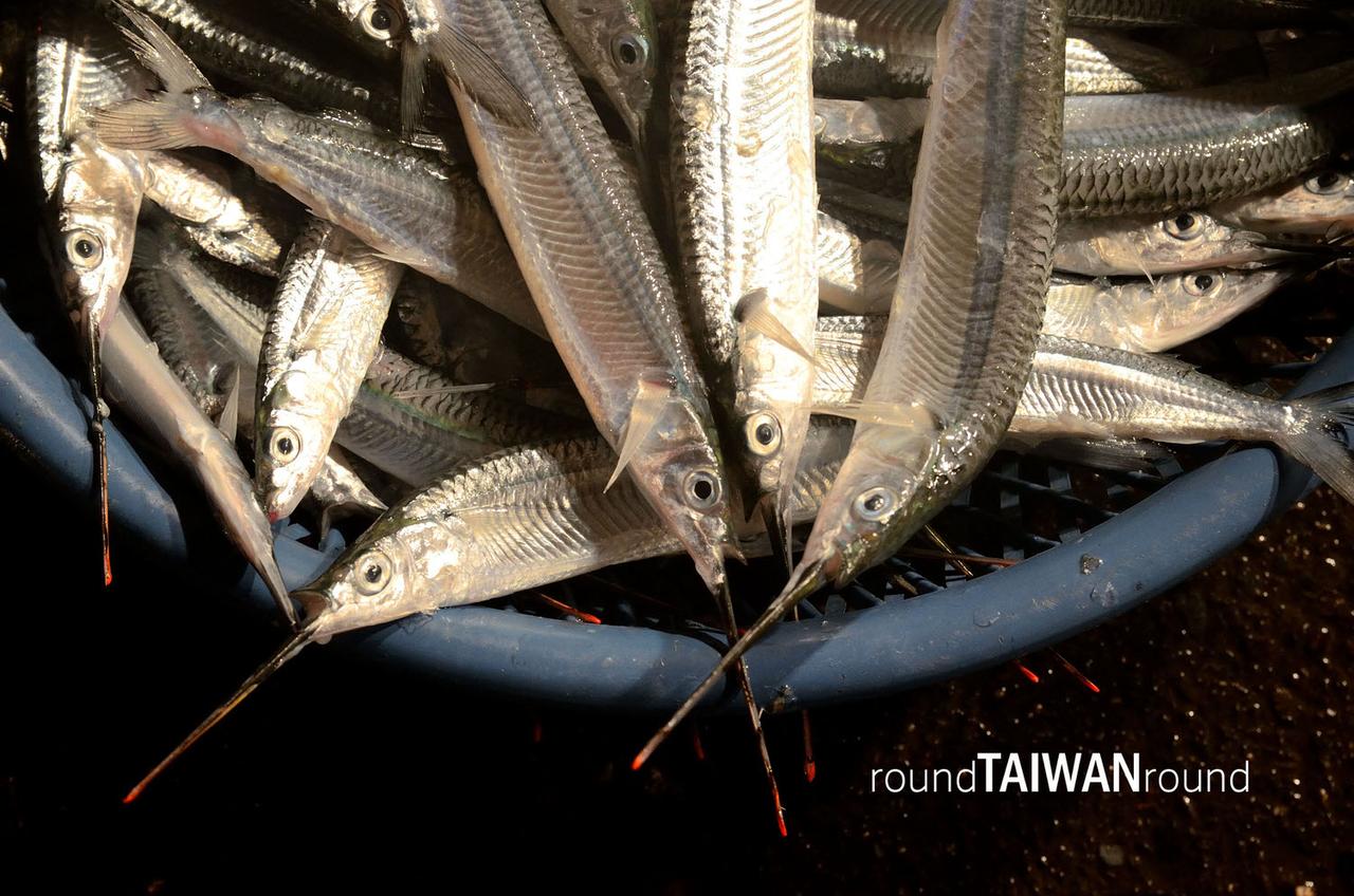 Keelung_Fish_Market__________-073.jpg