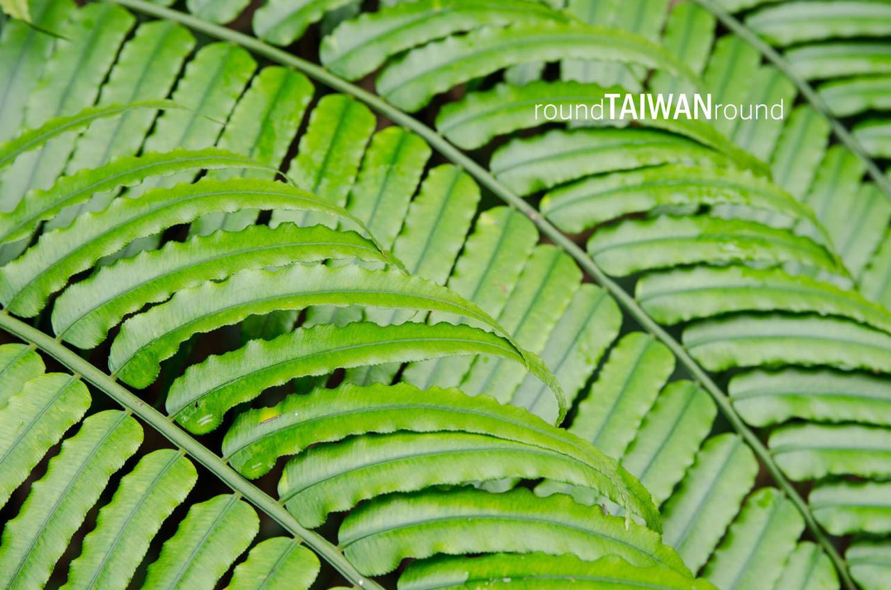 Nanzhung_Cold_Spring_________-004.jpg