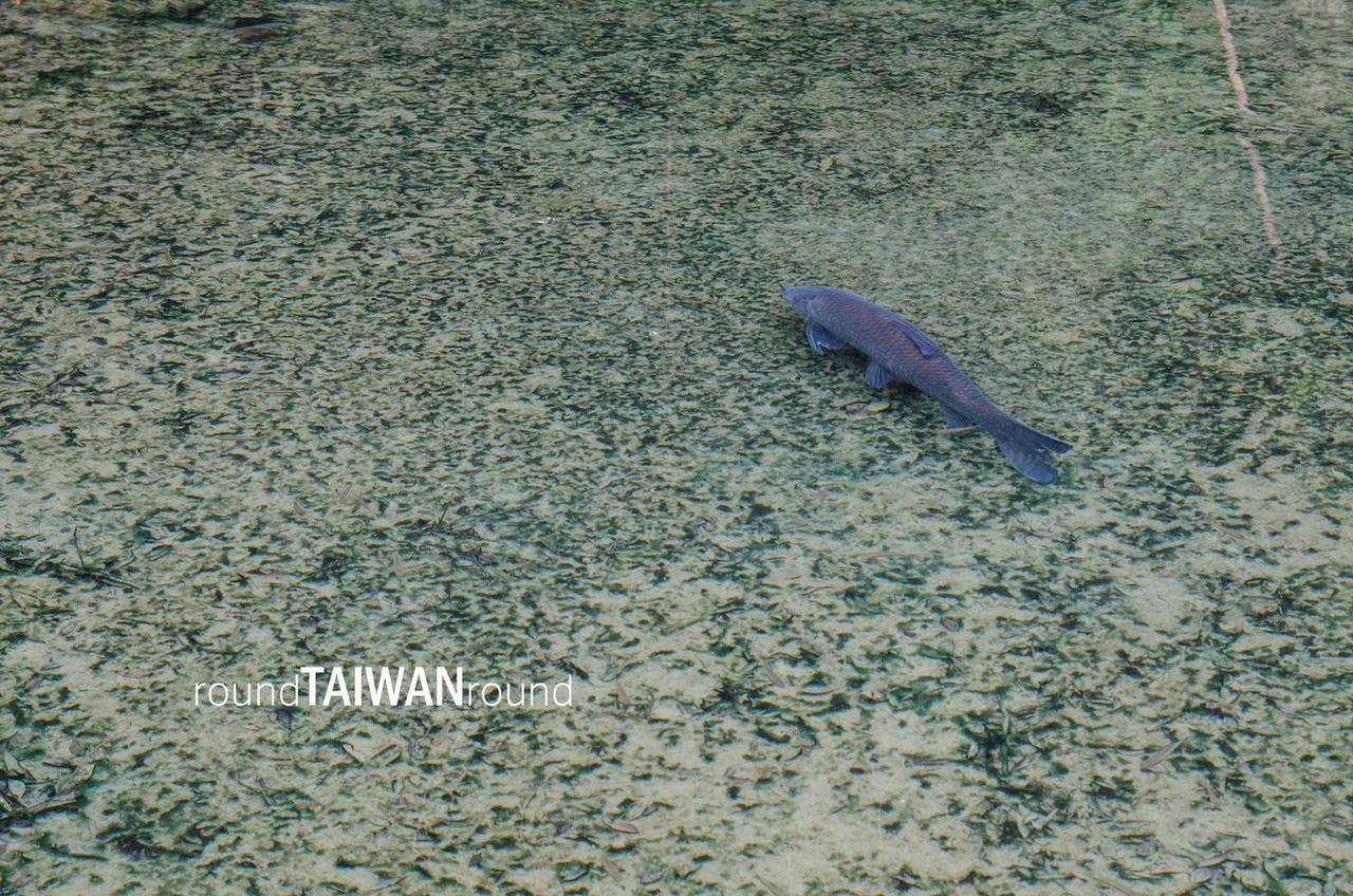 Nanzhung_Cold_Spring_________-013.jpg