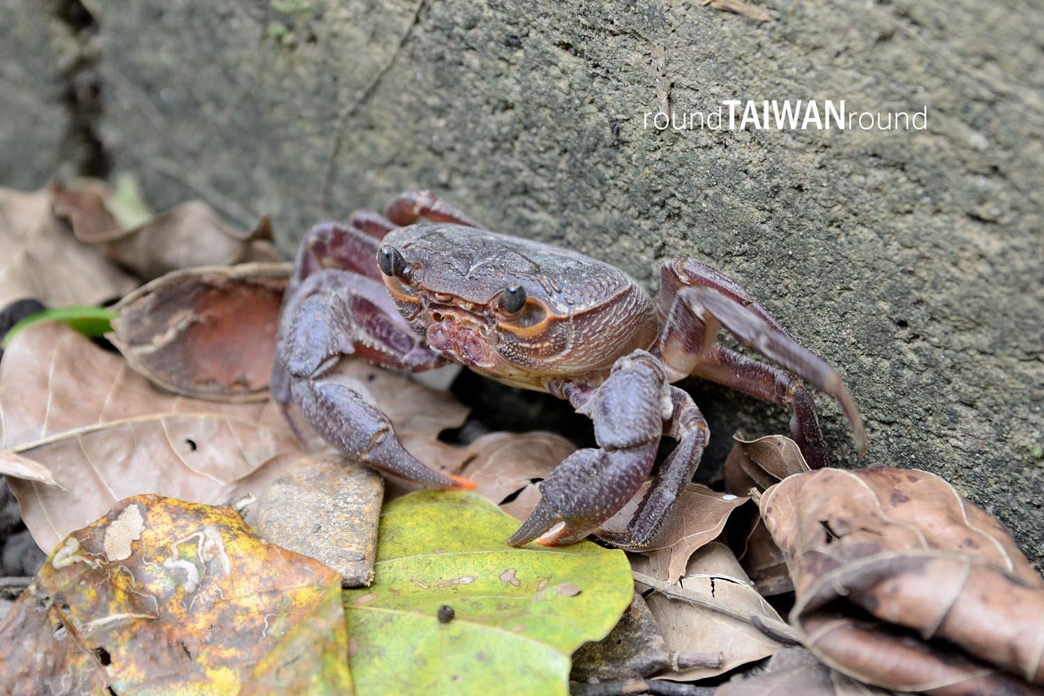 Sheding_Nature_Park_________-018.jpg