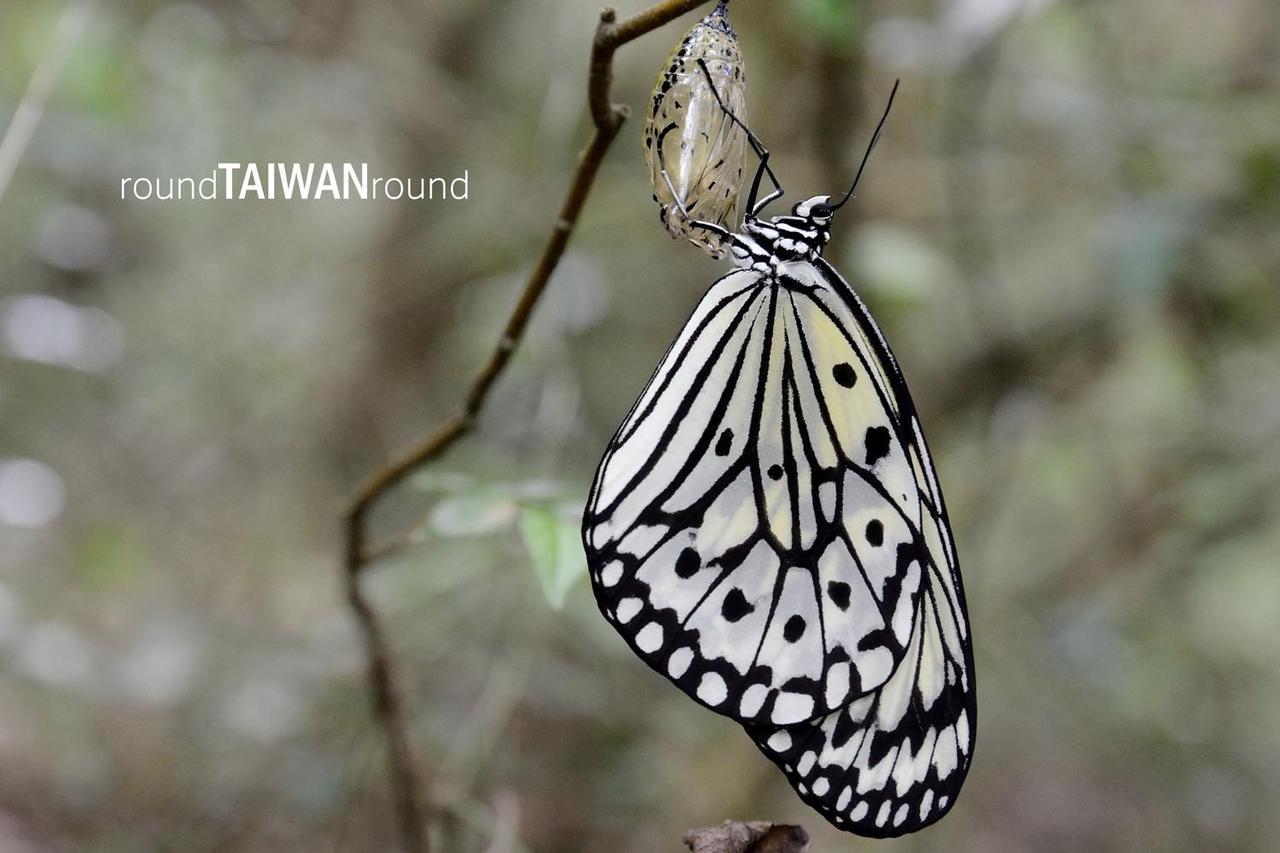 Sheding_Nature_Park_________-019.jpg