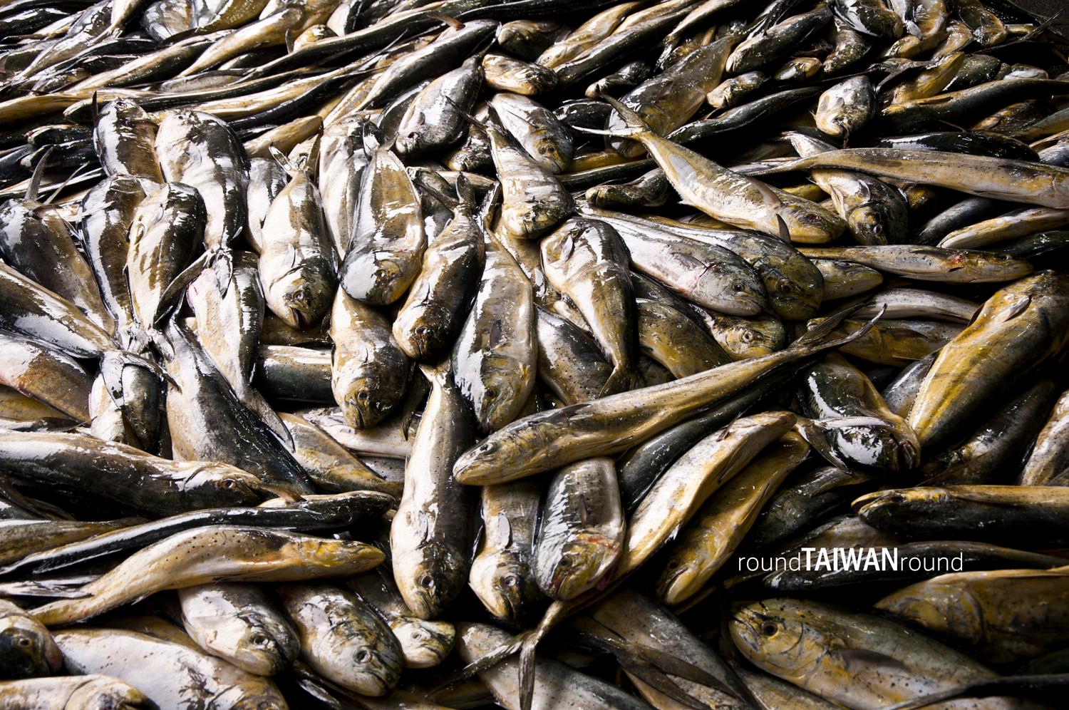 Chenggong_Fish_Harbor_______-005.jpg