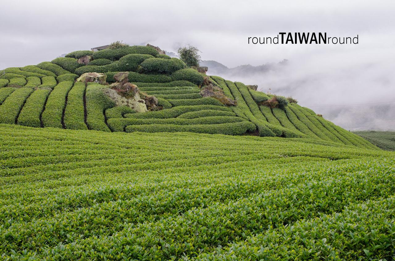 Eryanping_Trail________-039.jpg