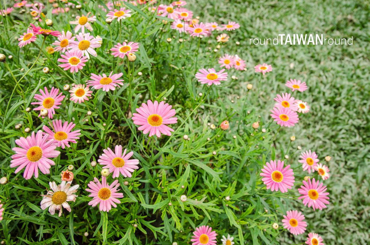 Lavender_Cottage___________-005.jpg