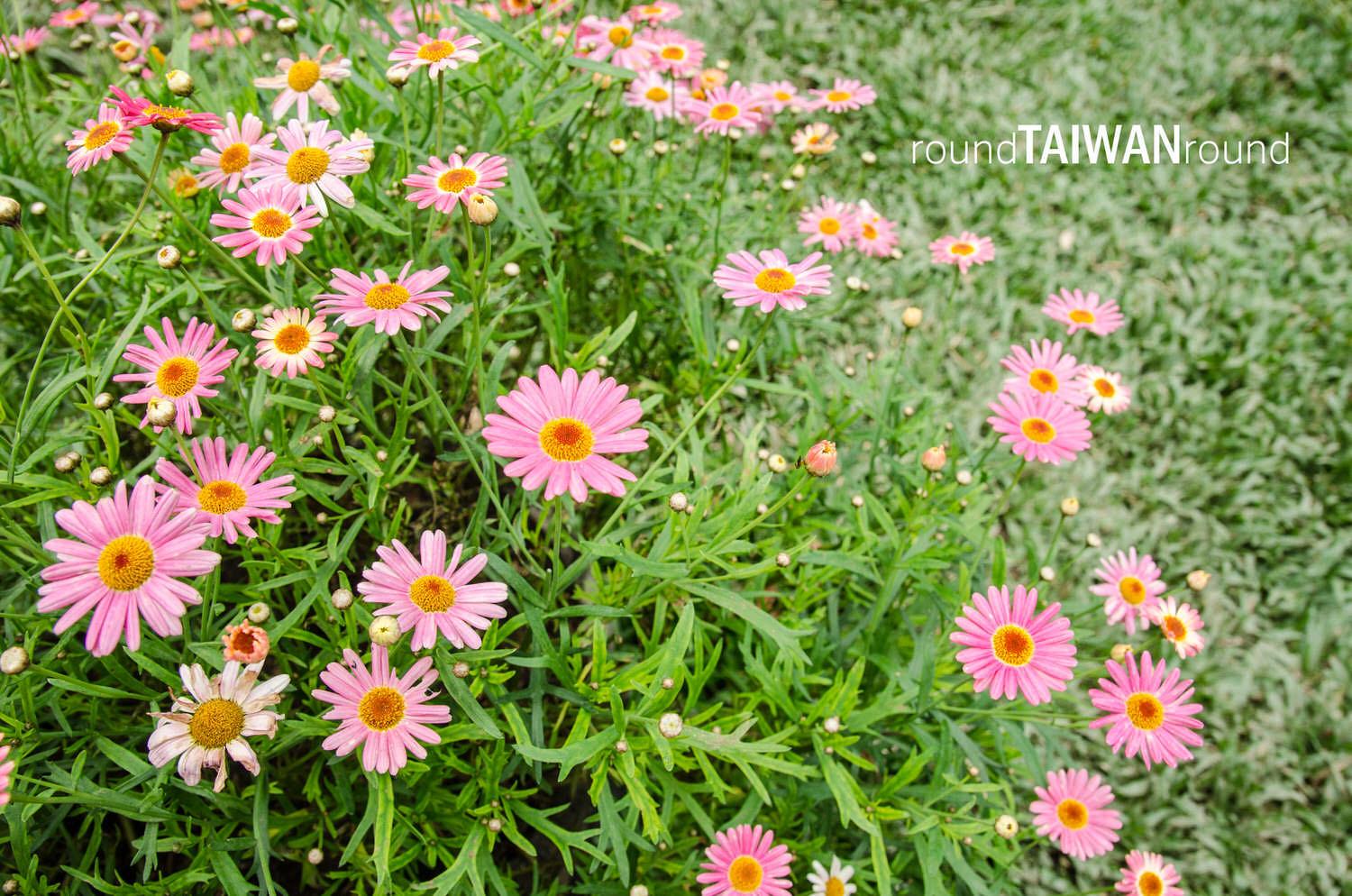 Lavender_Cottage___________-005.jpg