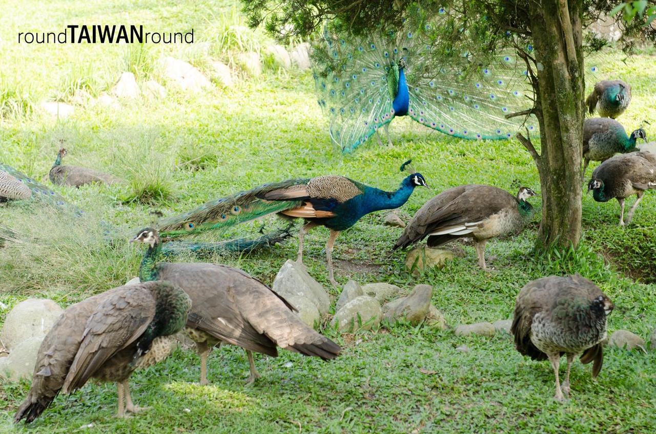 Peacock_Park______-006.jpg