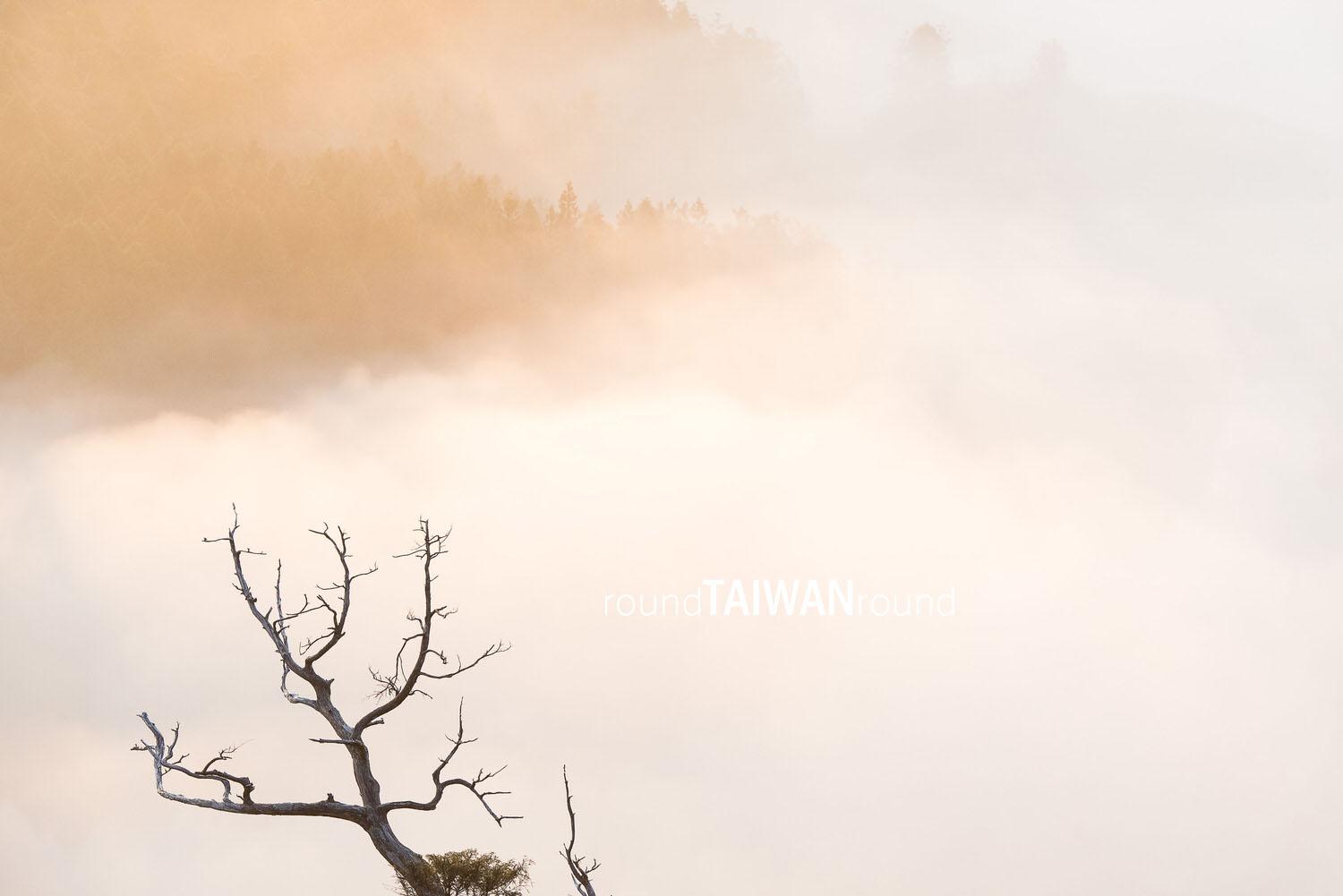 Taipingshan______-037.jpg