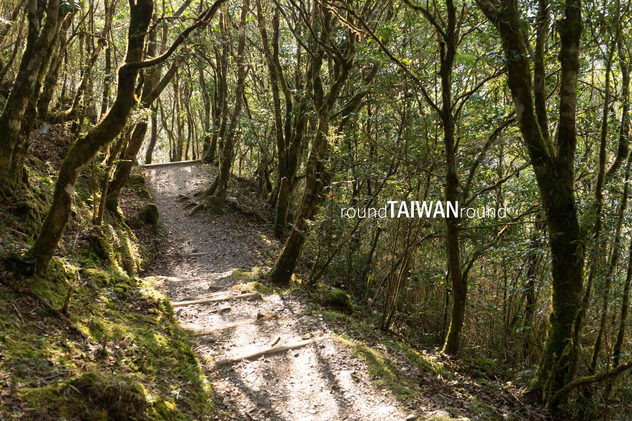 Taipingshan______-083.jpg