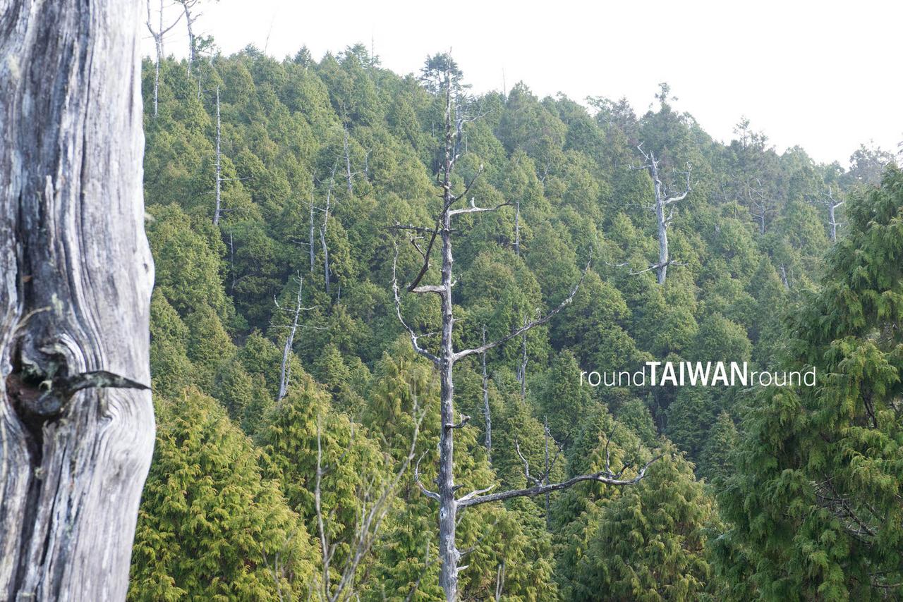Taipingshan______-110.jpg