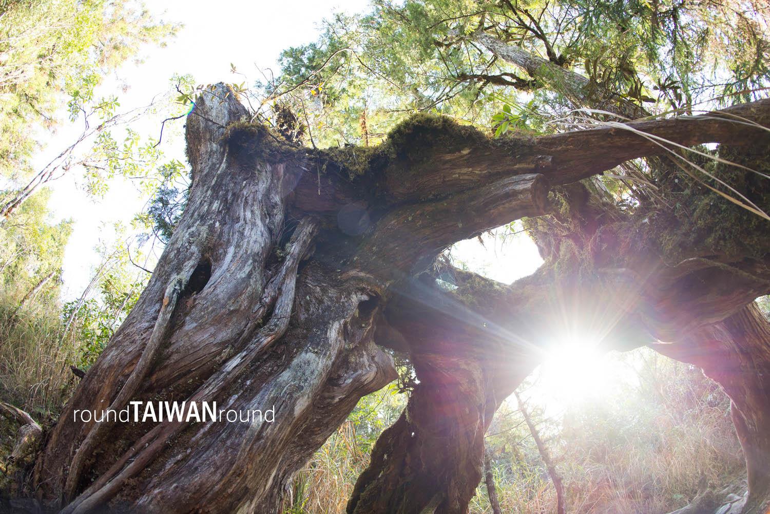 Taipingshan______-101.jpg