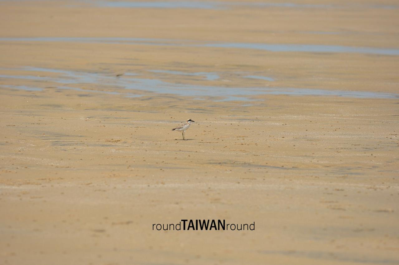 Chenggong_Beach_______-009.jpg