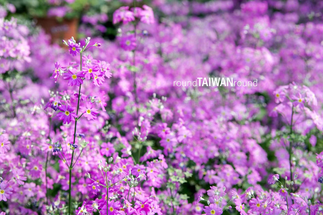 Fushoushan_Farm________-008.jpg