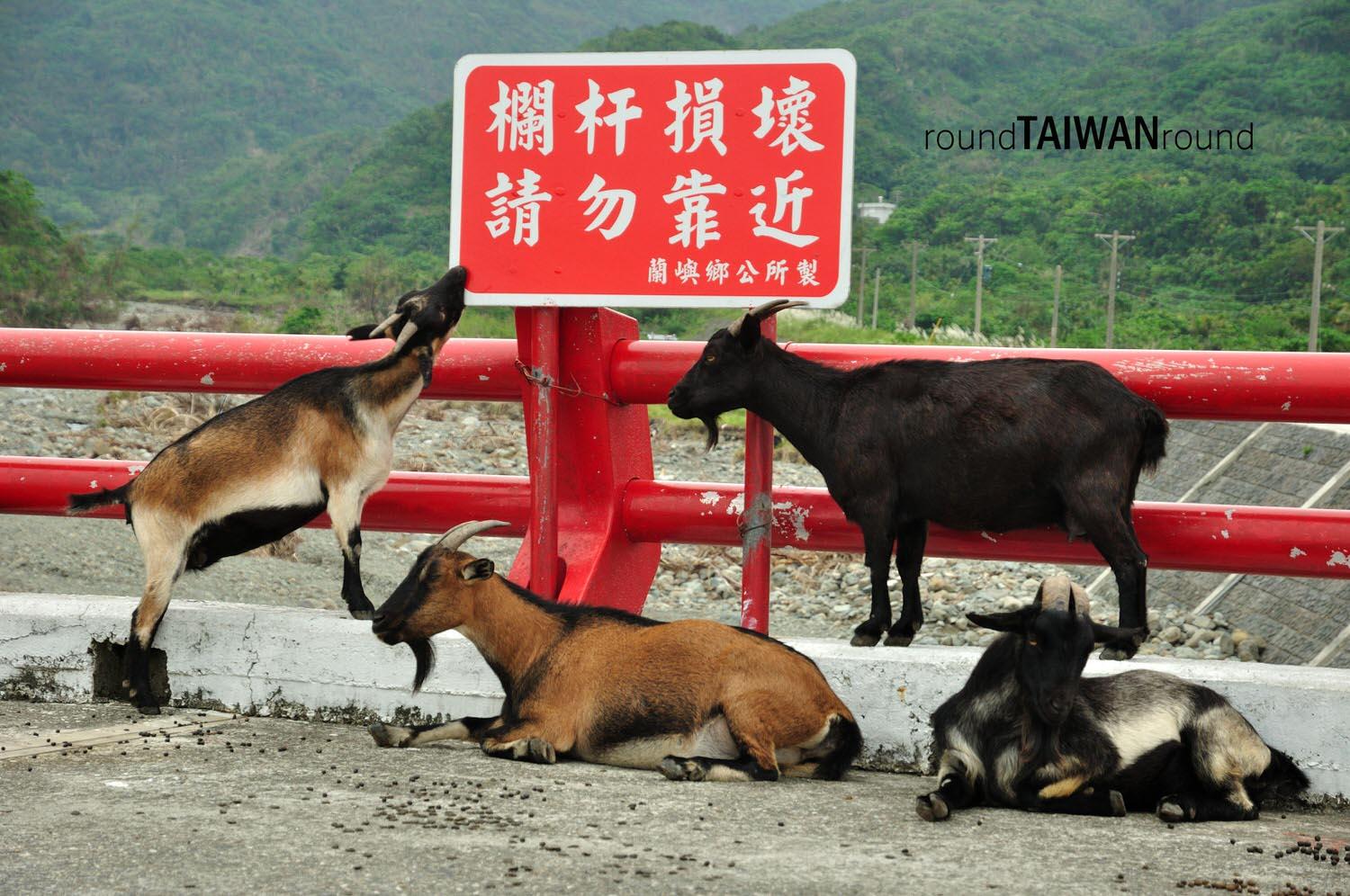 Lanyu_____-060.JPG