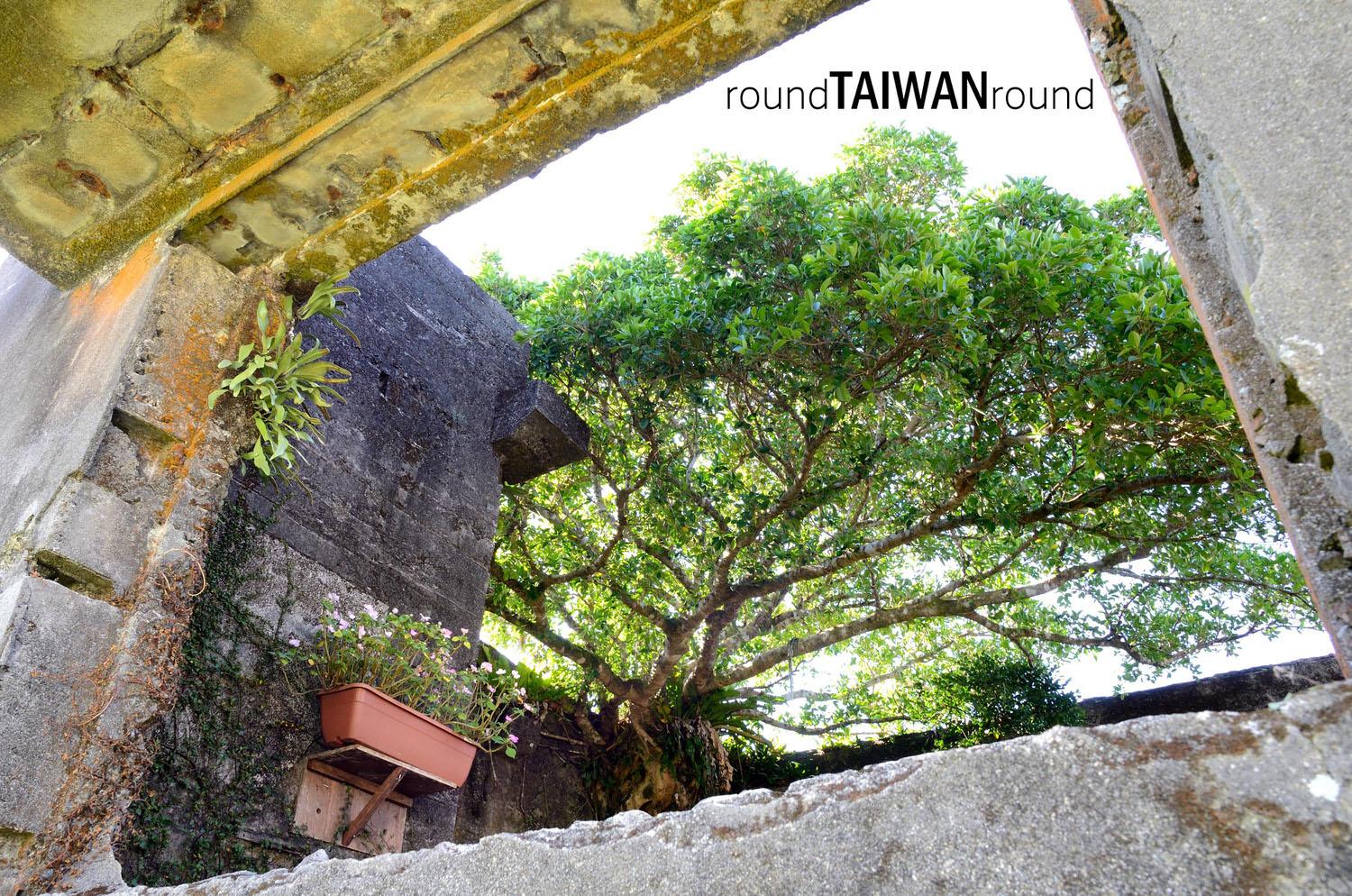Lanyu_____-206.jpg