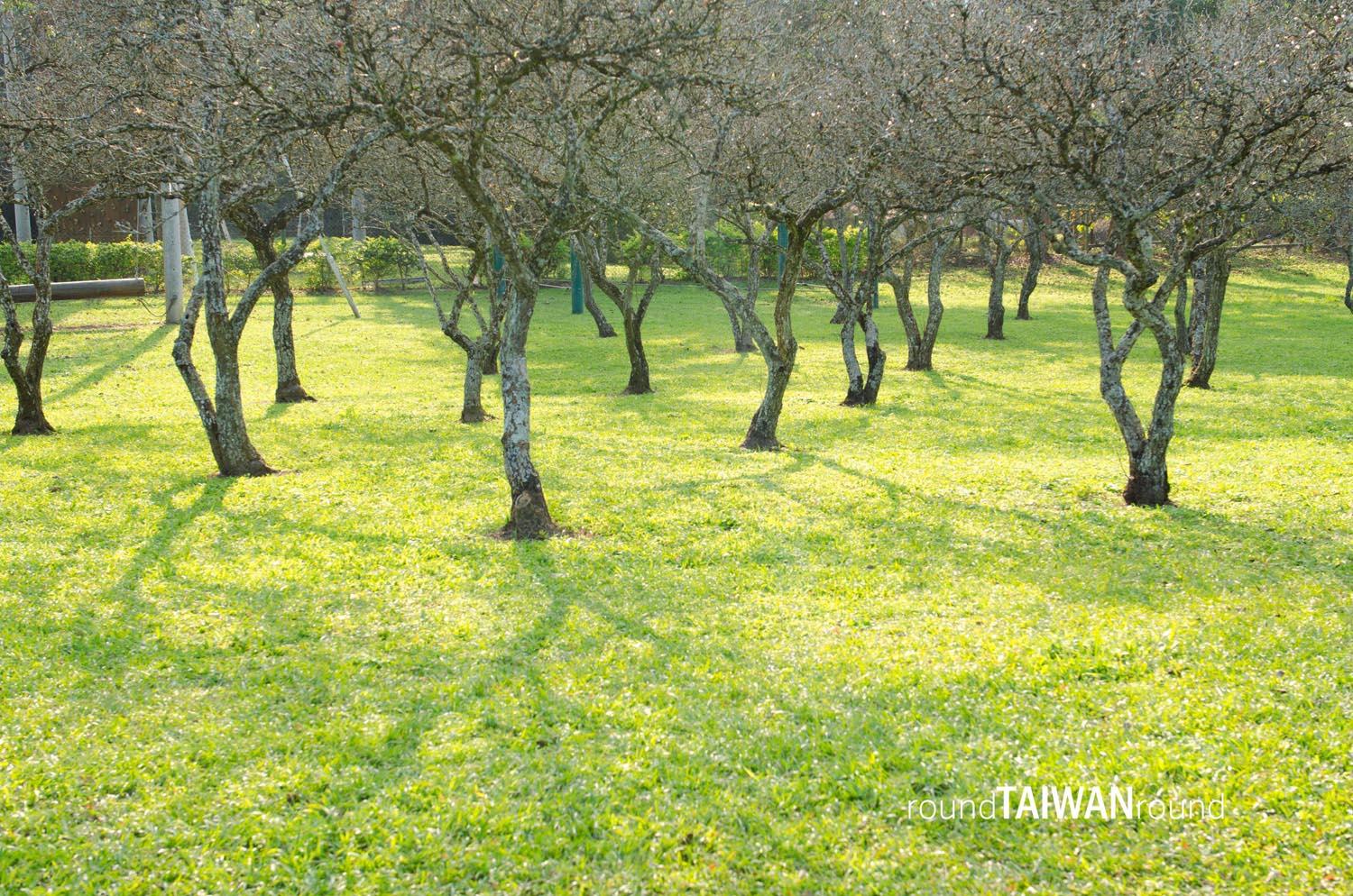 Taiwan_Adventist_College_________-006.jpg