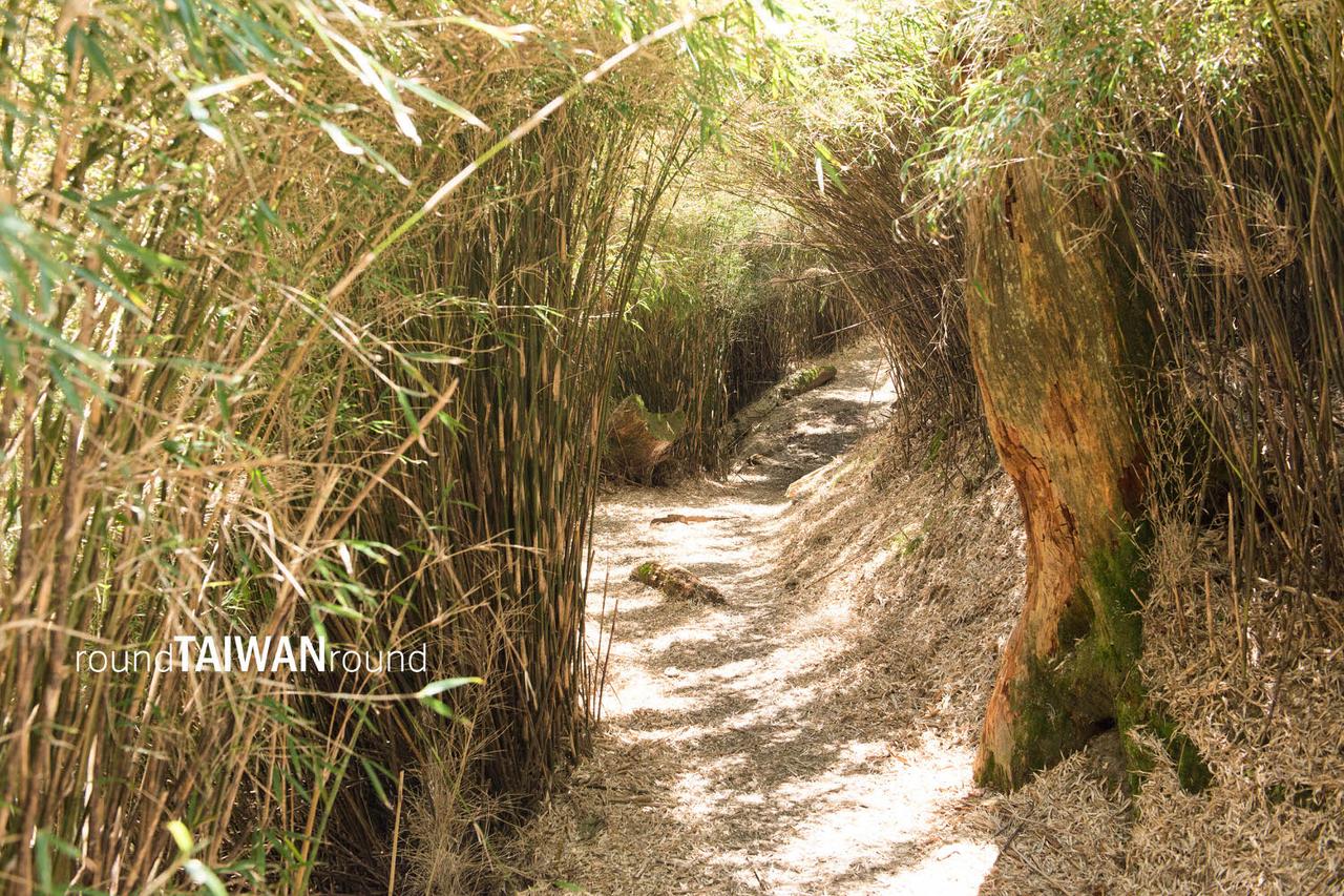 Little_Chilai______-040-1.jpg