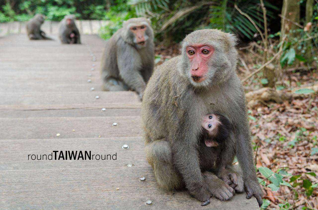 Shoushan_National_Nature_Park___________-019.jpg
