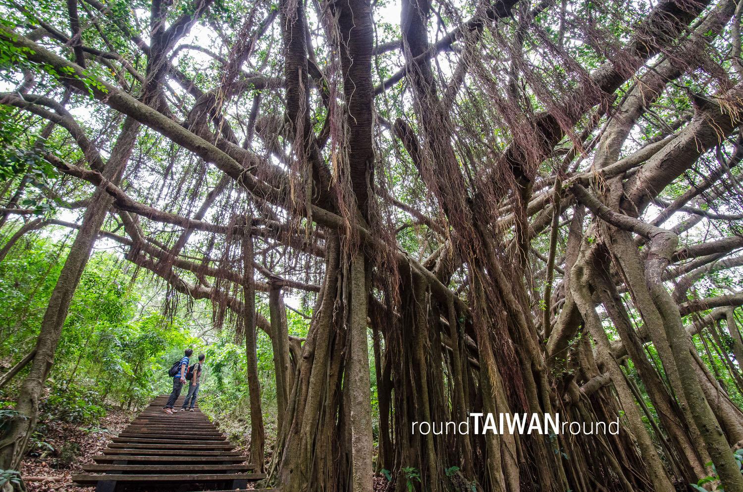 Shoushan_National_Nature_Park___________-029.jpg