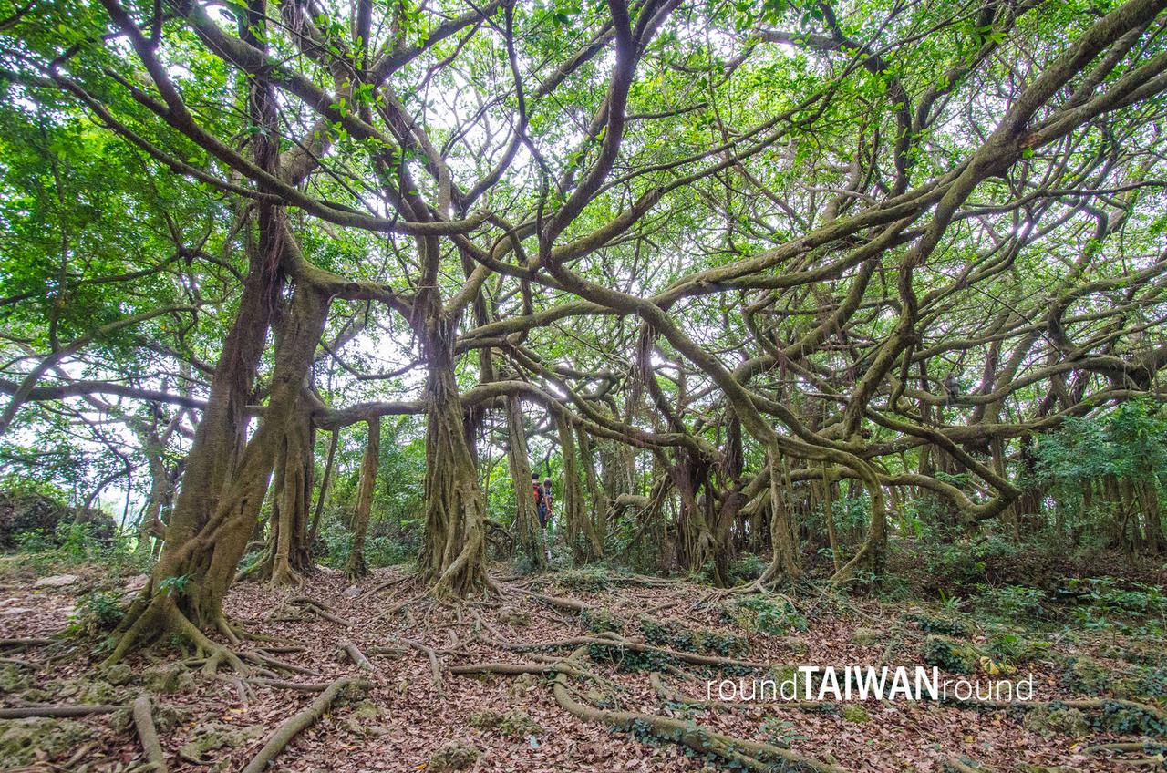 Shoushan_National_Nature_Park___________-064.jpg