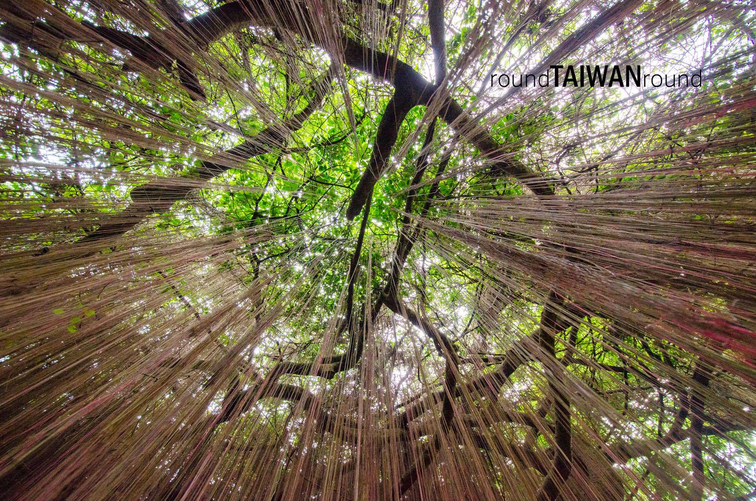 Shoushan_National_Nature_Park___________-059.jpg
