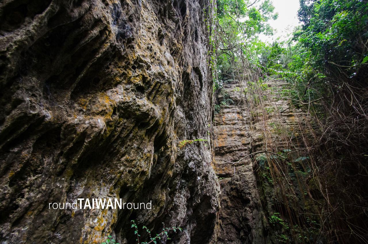 Shoushan_National_Nature_Park___________-054.jpg