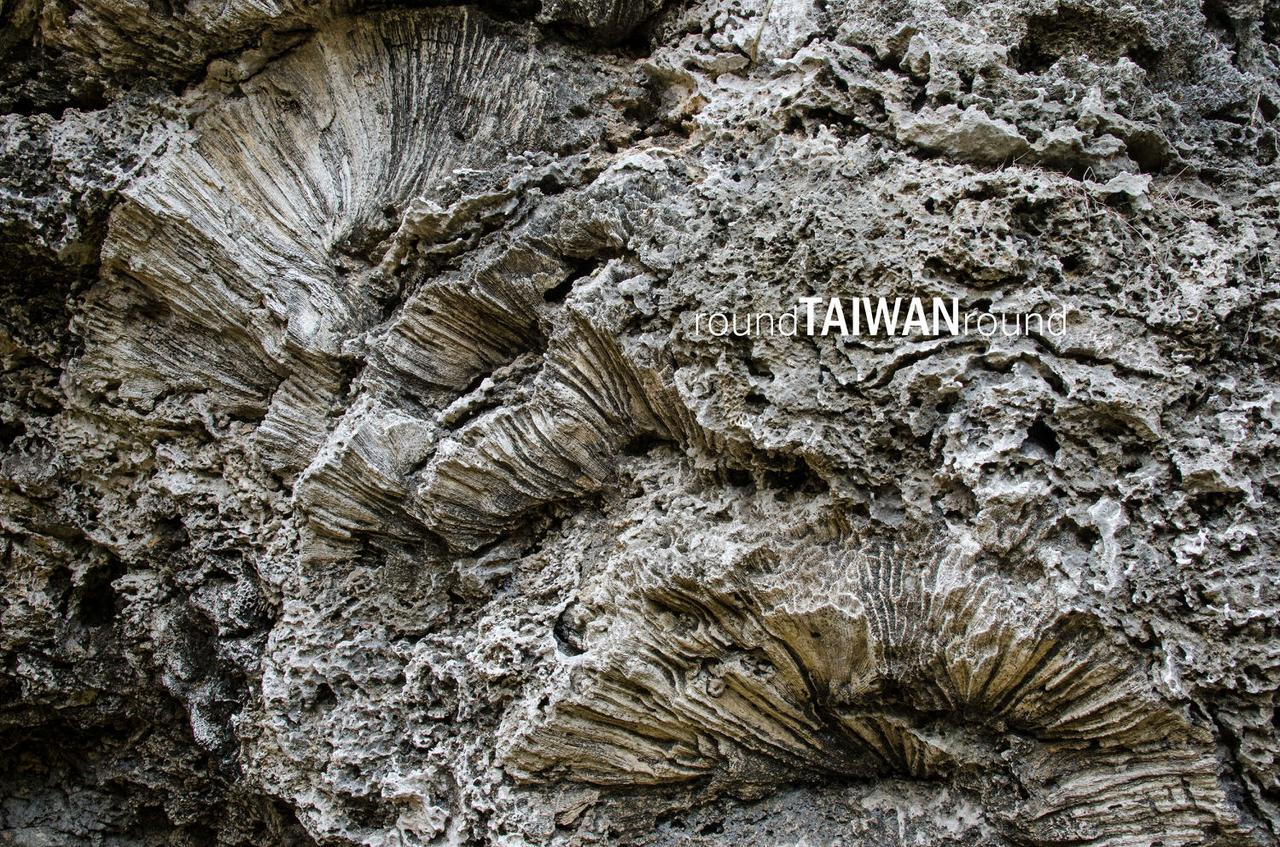 Beauty_Cave______-016.jpg