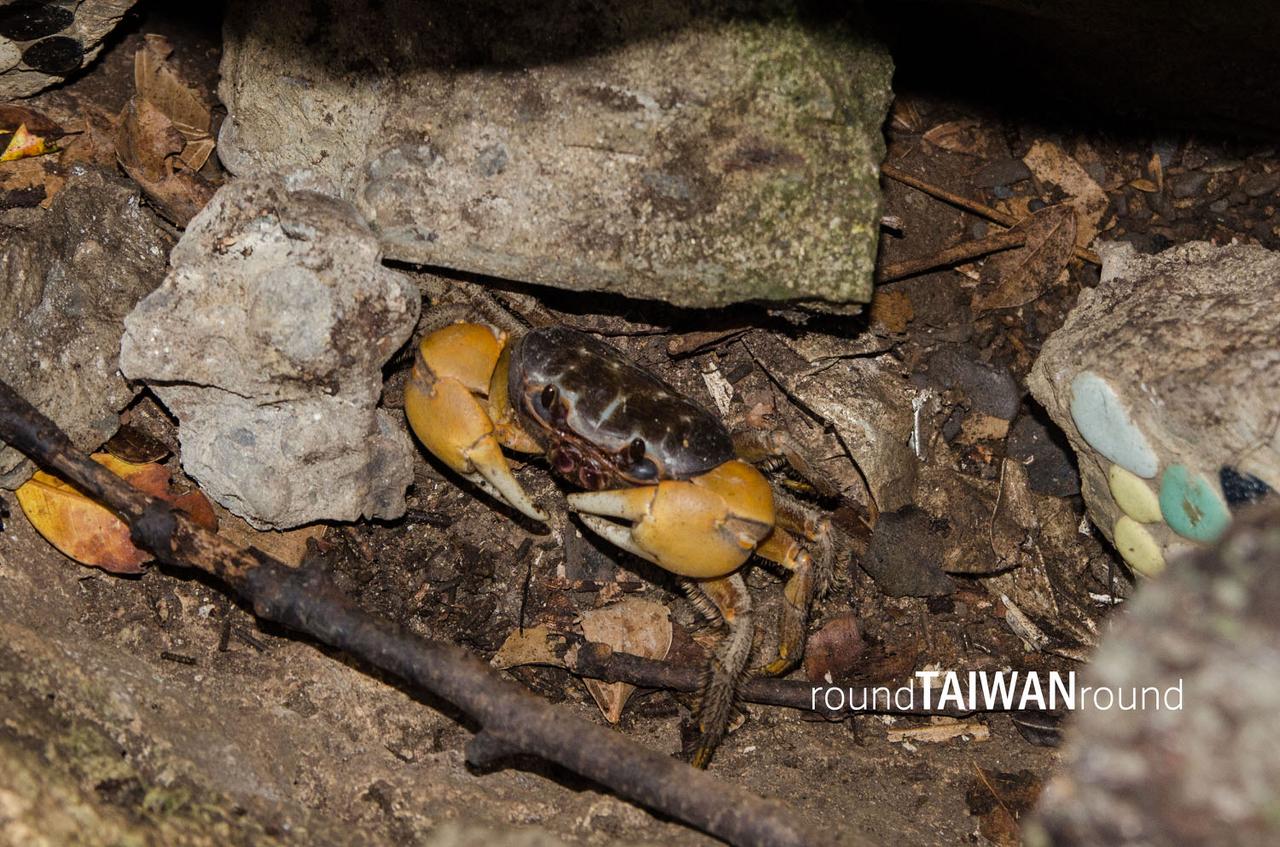 Black_Dwarf_Cave______-021.jpg