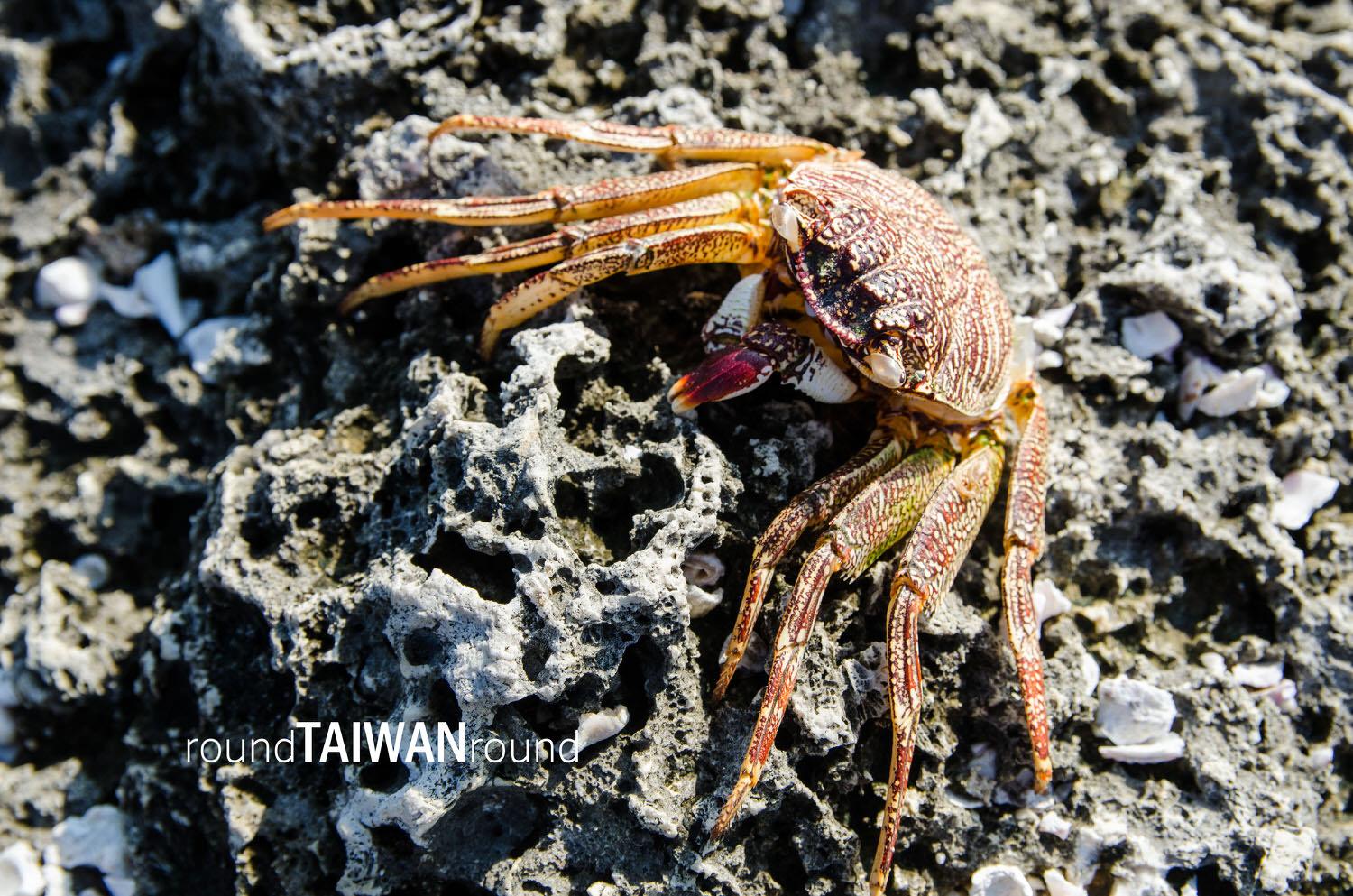 Lobster_Cave______-018.jpg