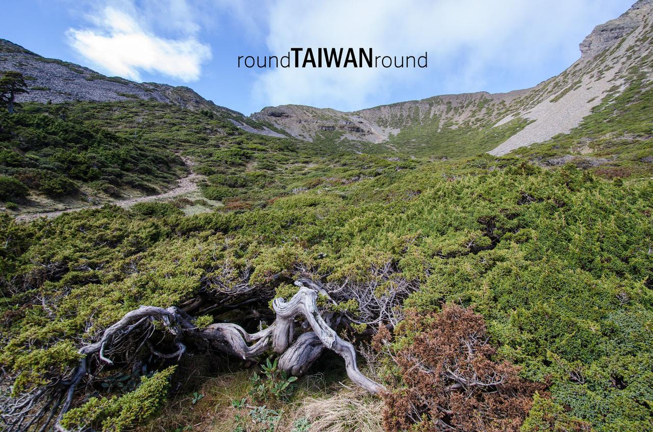 Xueshan_Main___East_Peak_Trail________-095.jpg