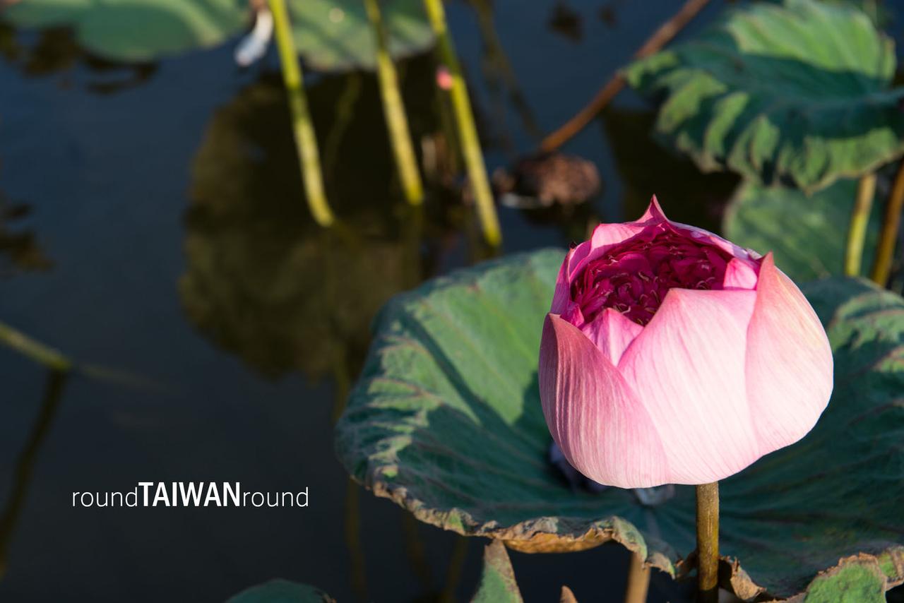 Twin_Hearts_Pond_______-004.jpg