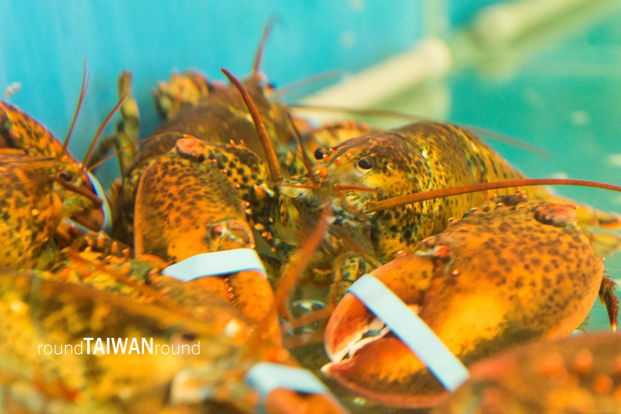 Hot_Fish_Port_______-011.jpg