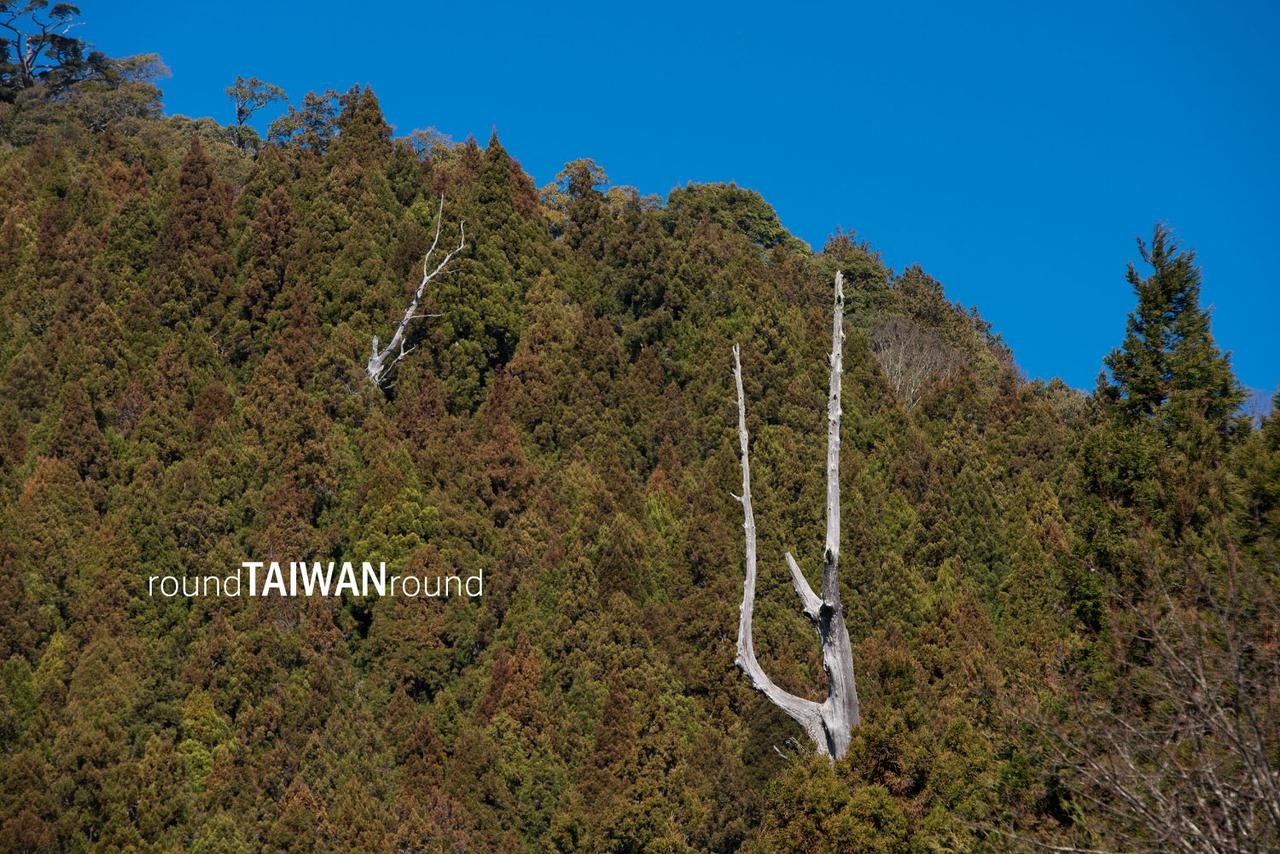 Provincial_Highway_21___21__-006.jpg