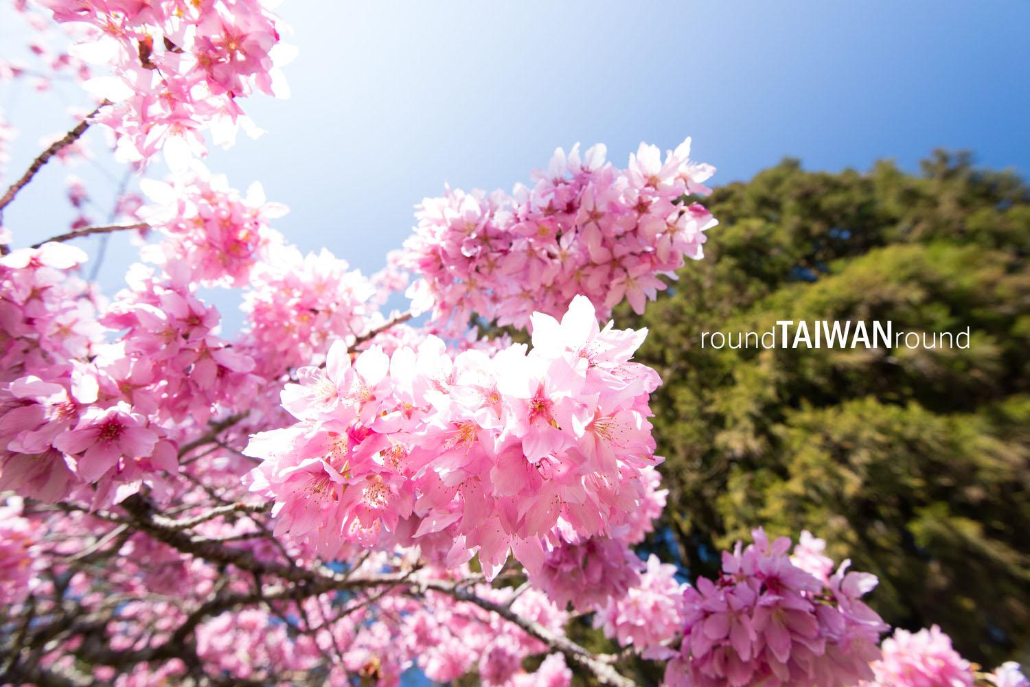 Alishan_Youth_Activity_Center____________-009.jpg