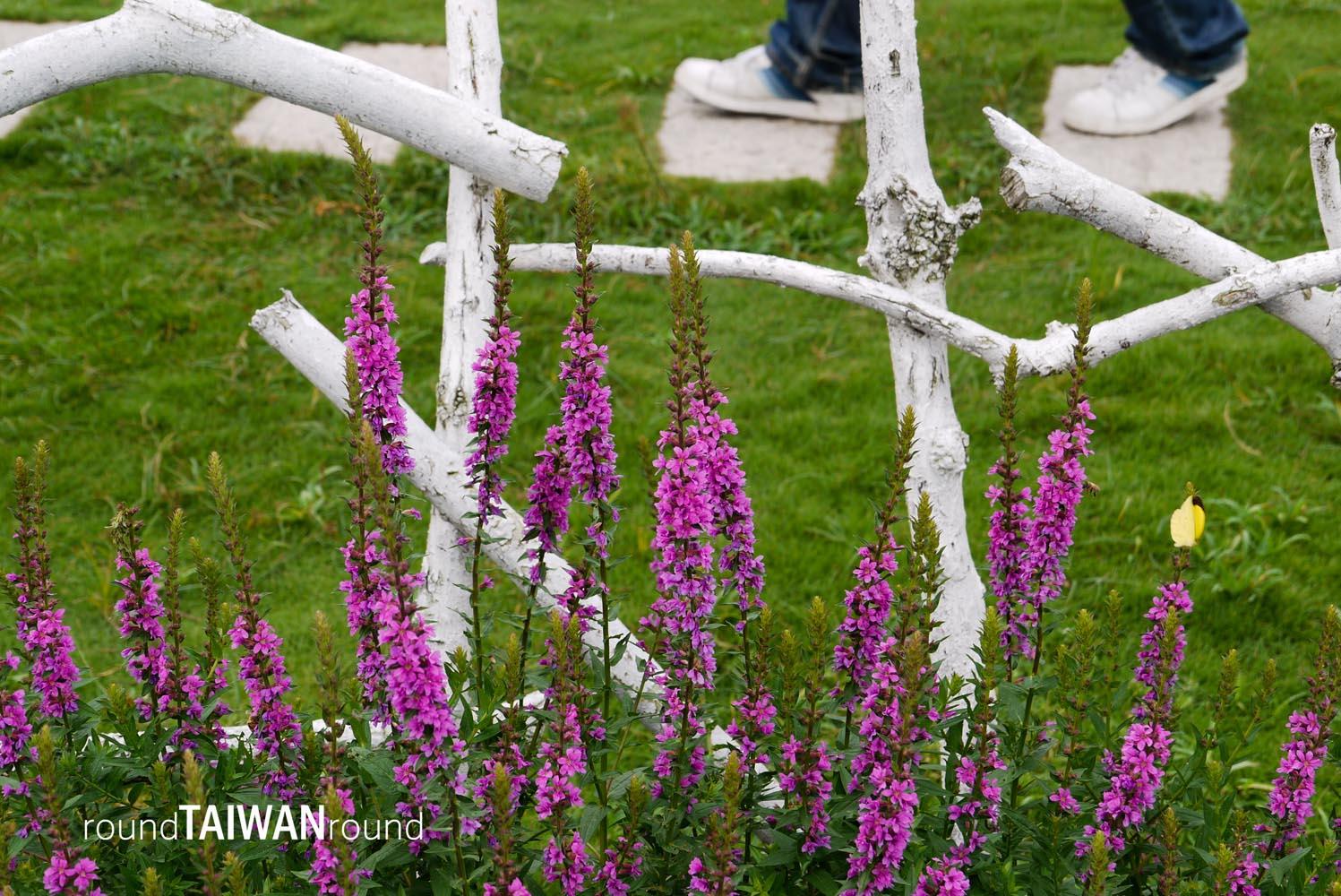 Chungshe_Tourism_Flower_Market__________-008.jpg