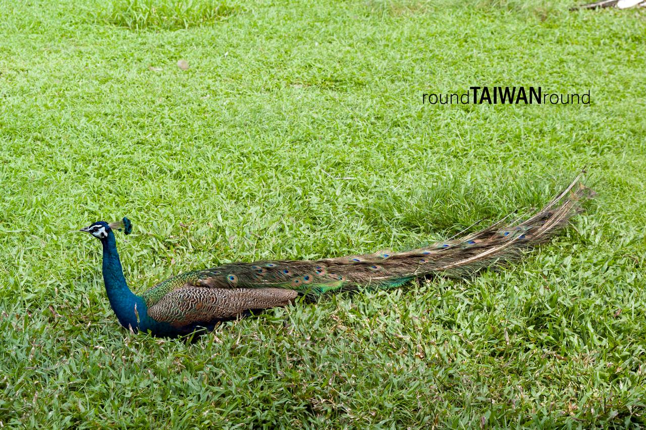 Peacock_Park______-012.jpg
