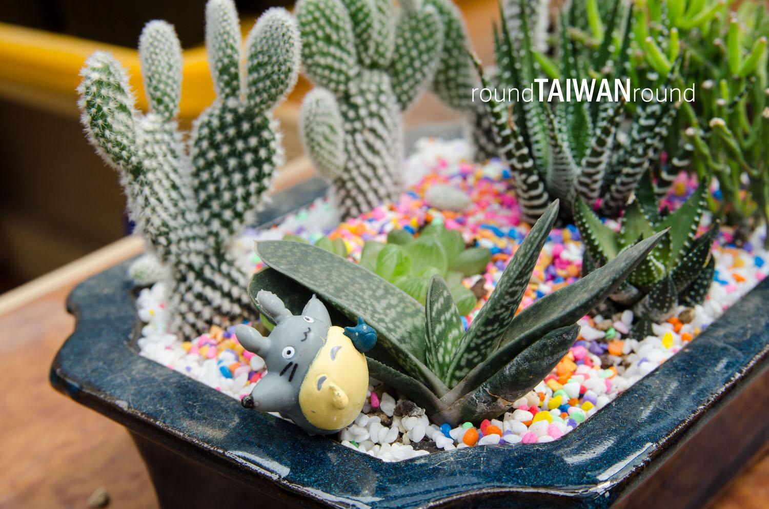 Qingwan_Cactus_Park__________-021.jpg