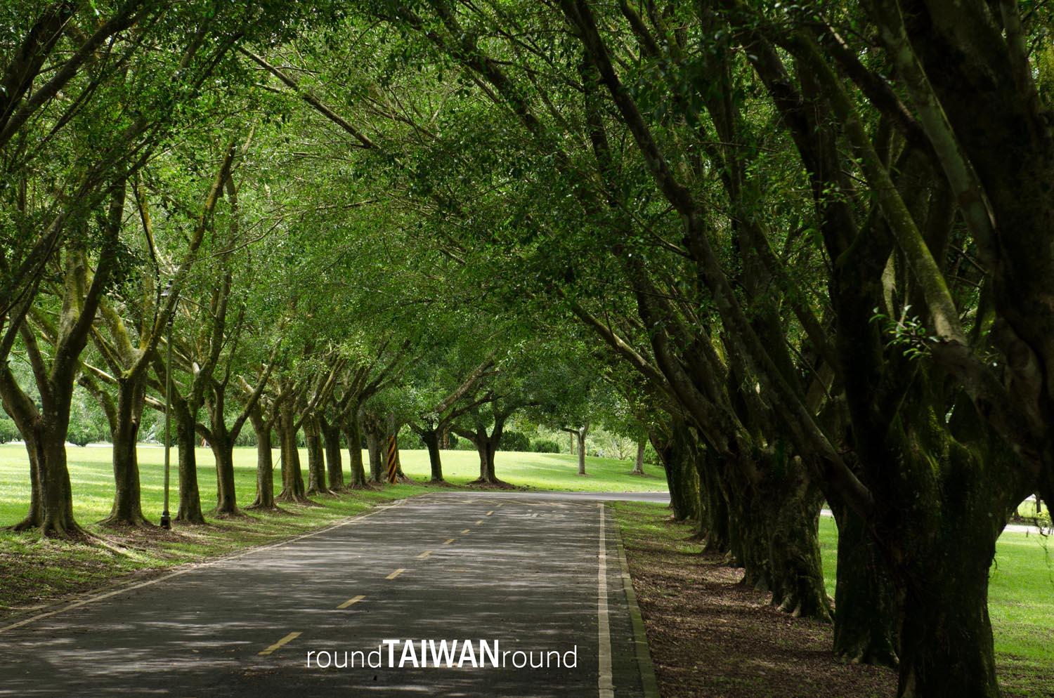 Taiwan_Adventist_College_________-003.jpg