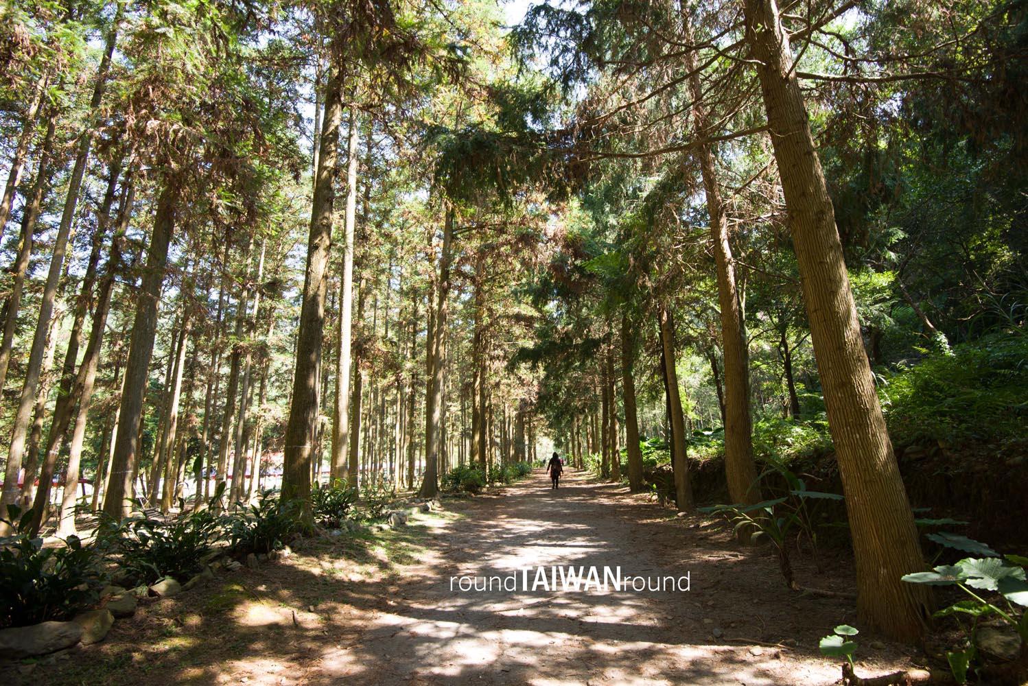 Huisun_Forest_______-004.jpg
