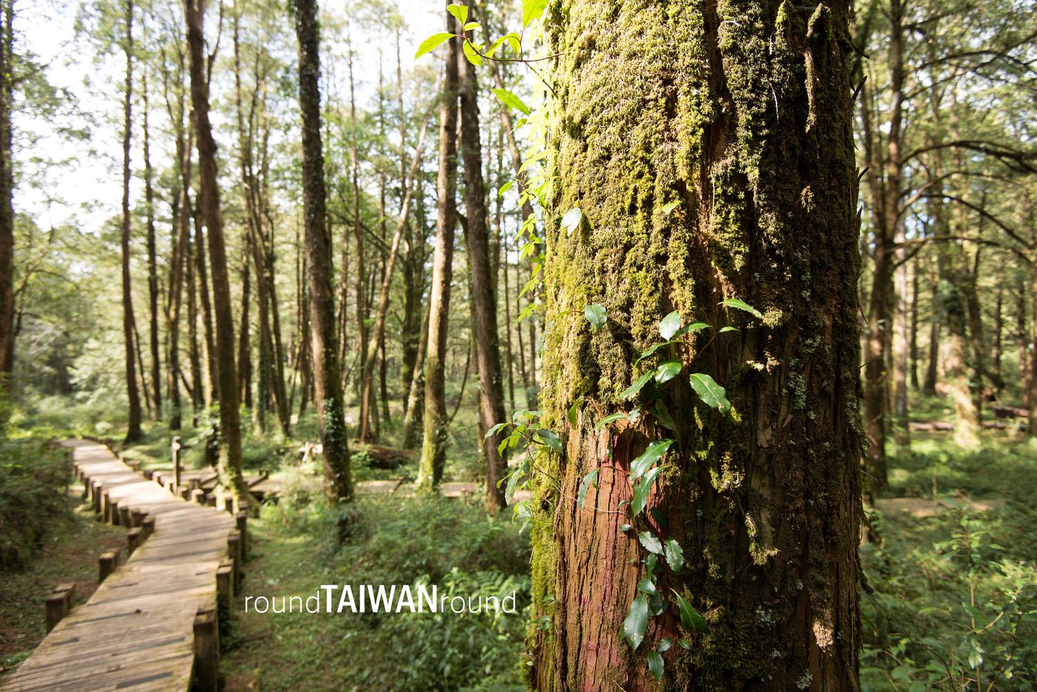 Tashan_Trail_______-015.jpg
