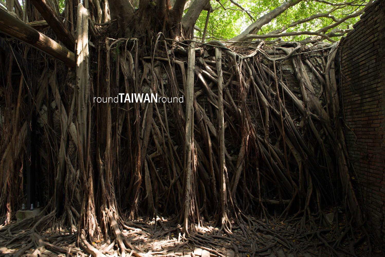 Anping Tree House