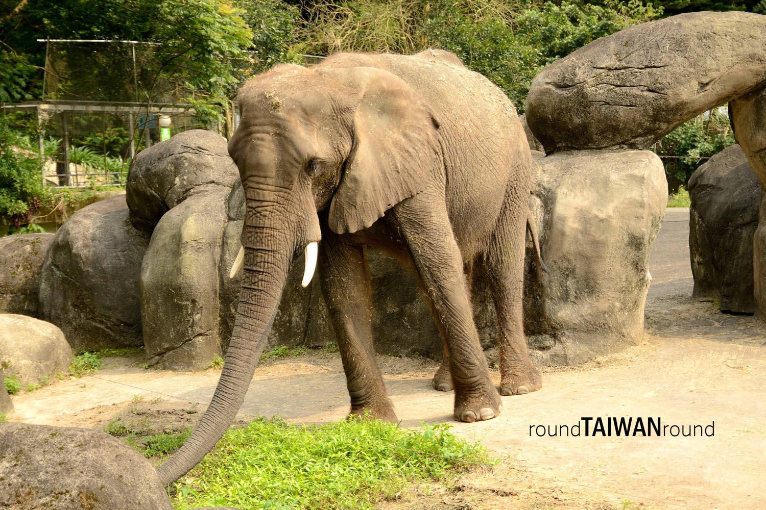 Taipei_Zoo________-012.jpg