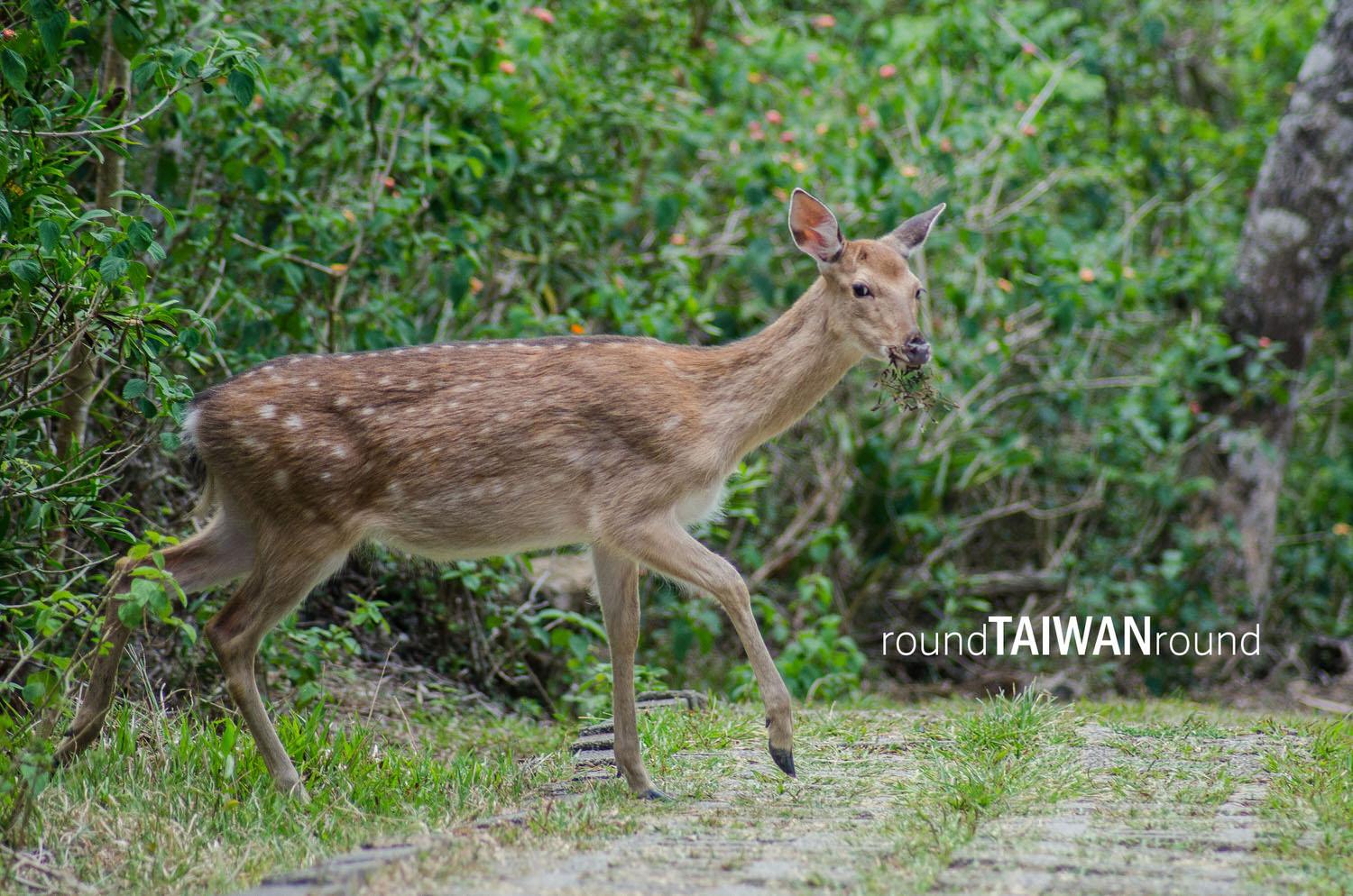 Sheding_Nature_Park_________-041.jpg