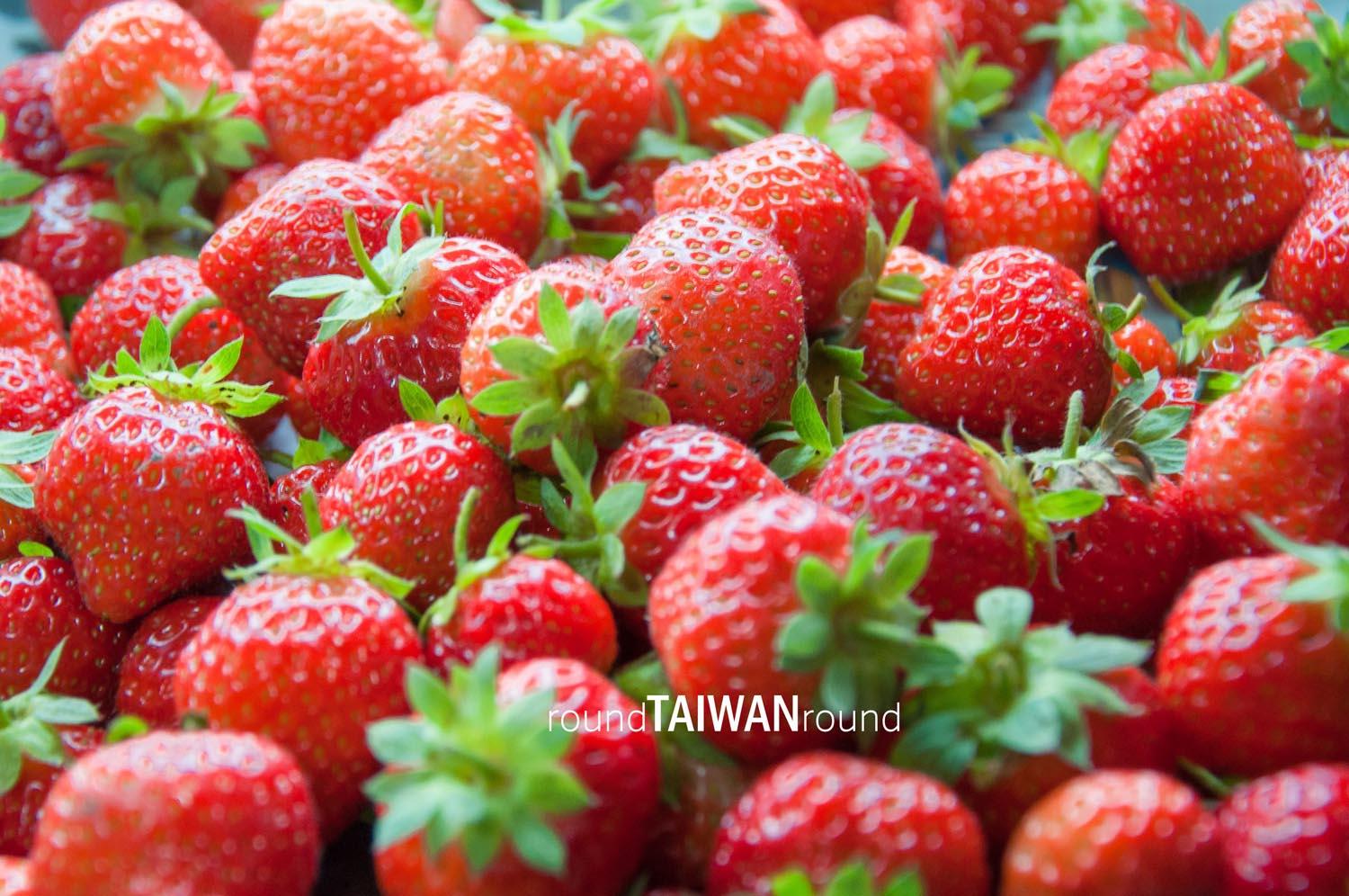 https://cdn.rtaiwanr.com/uploads/images/cover_image/389/Fenglin_Strawberry_Picking________.jpg