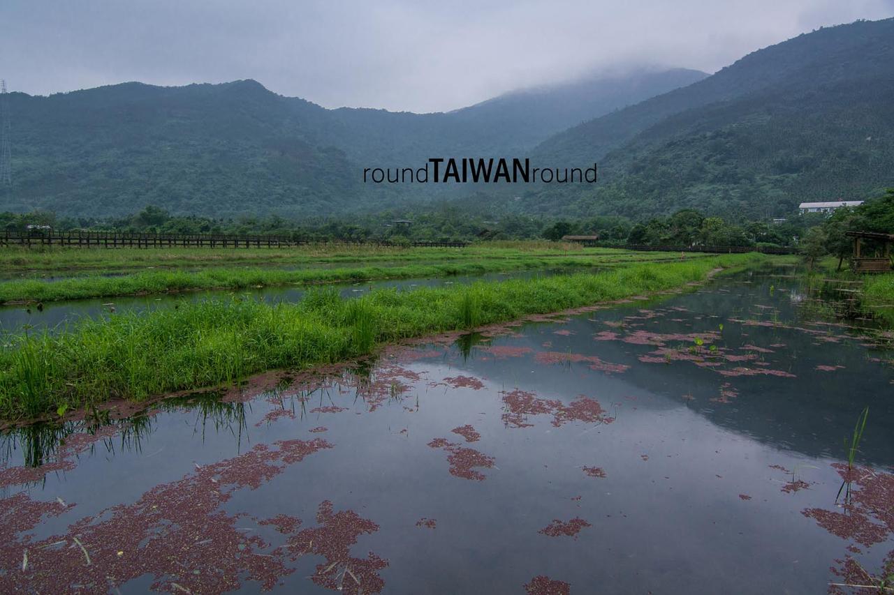 Mataian_Wetland________-014.jpg