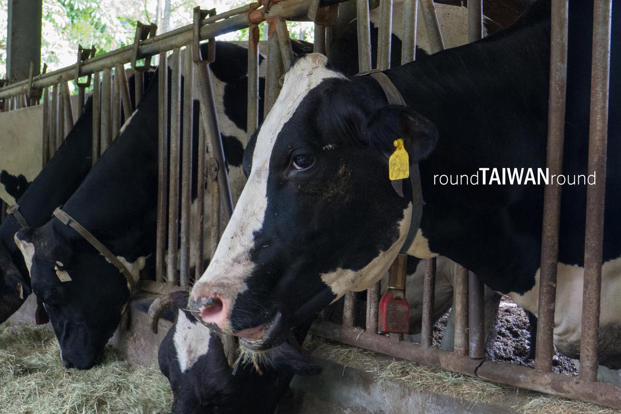 Ruishui_Pasture_______-022.jpg